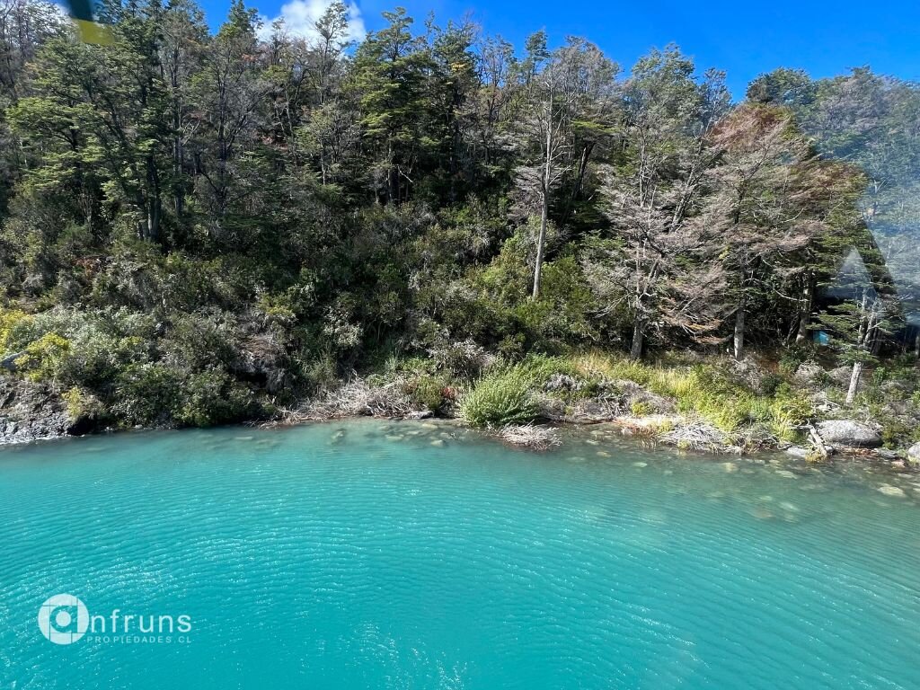 Native forest surrounding the parcel with diverse tree species