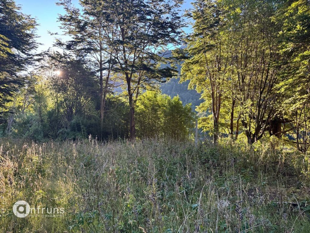 House property photo in Coyhaique