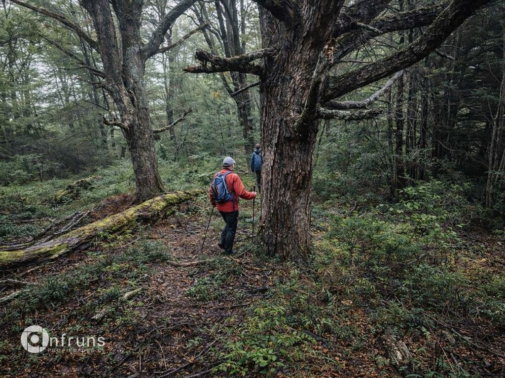 Terreno en Venta en Cochrane | 15 Dormitorios | 15 Baños | 1037500 m² | UF 13.500 - 8