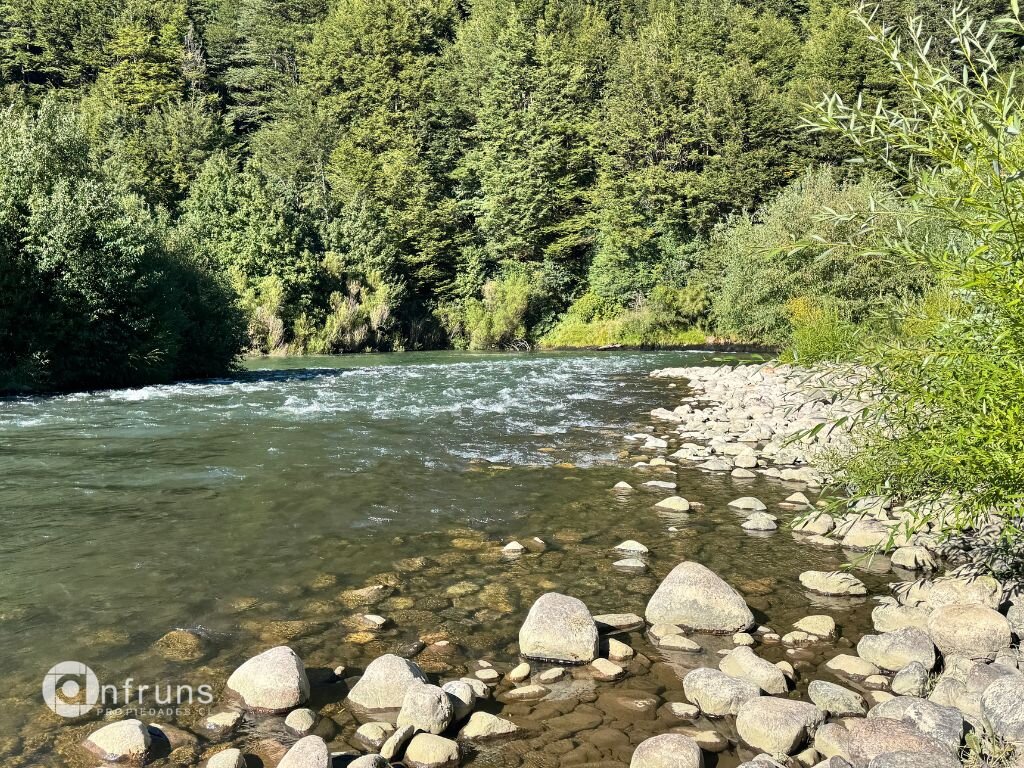 Clear, shallow river with visible rocks and fallen logs, framed by trees on the Coyhaique property.