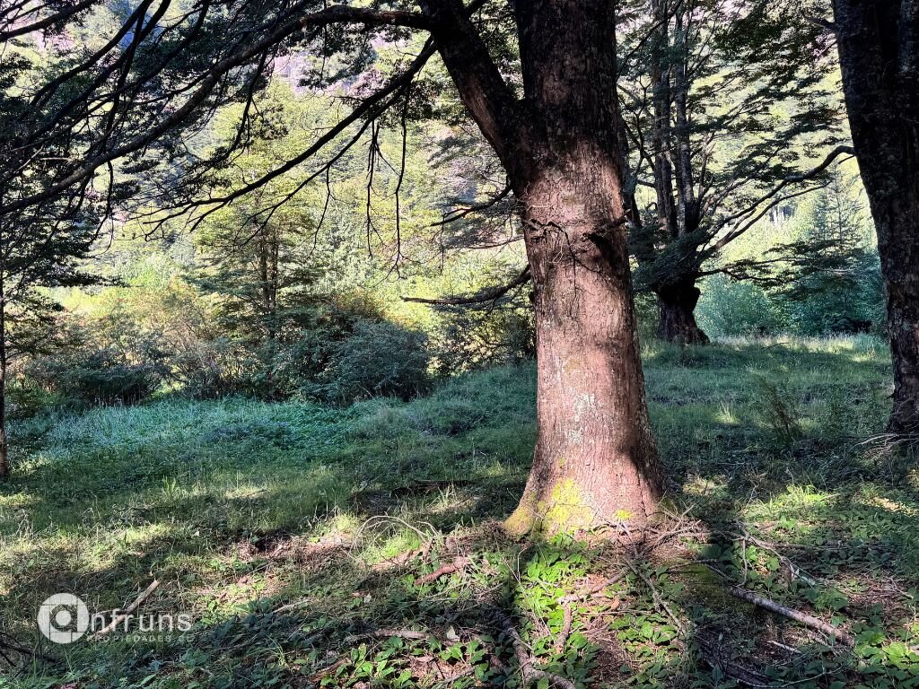 Ranch property photo in Coyhaique