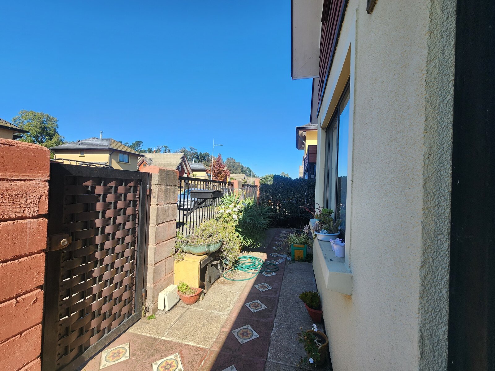 Foto 3