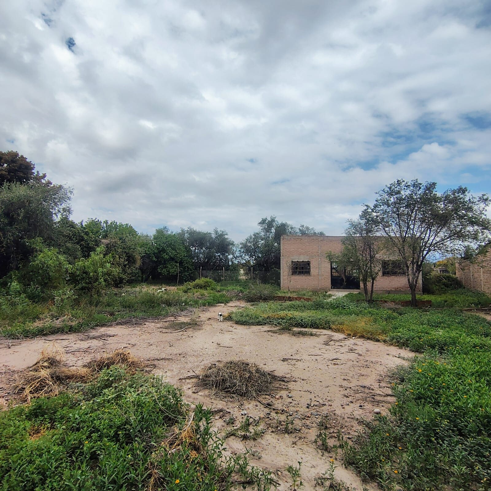 Lote en Venta en Maipu, Mendoza