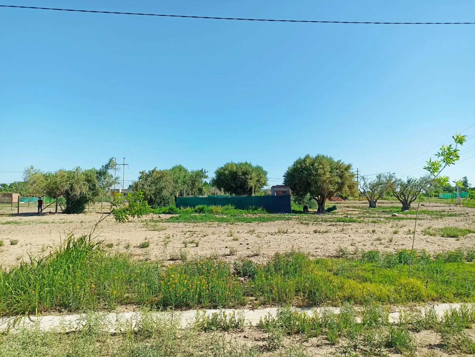 Lote en Venta en Maipu, Mendoza