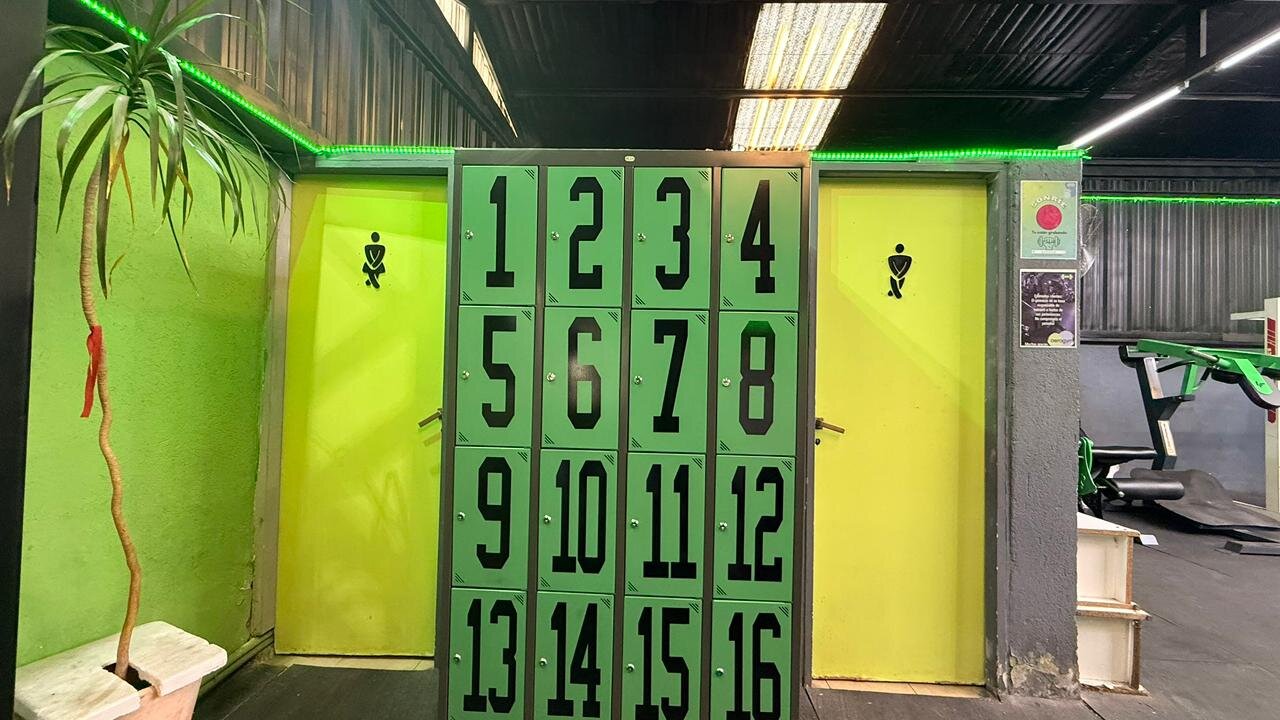 3 de 12