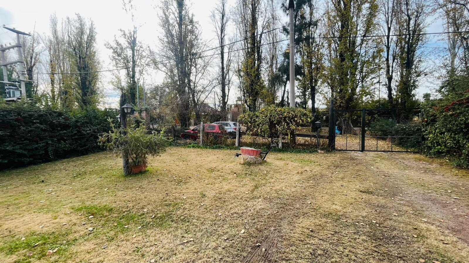 15 de 19
