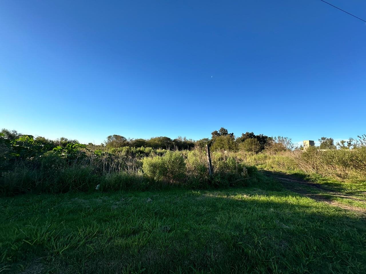 Venta de campo en Ibarlucea ideal para desarrollo inmobiliario - 5 hectáreas sobre calle Schilla (Garita 5) cercano a Funes - 14