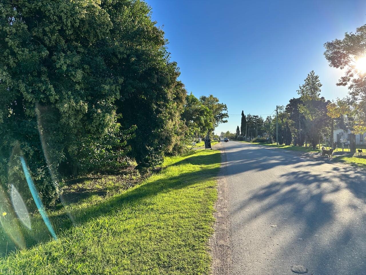 Venta de campo en Ibarlucea ideal para desarrollo inmobiliario - 5 hectáreas sobre calle Schilla (Garita 5) cercano a Funes - 6