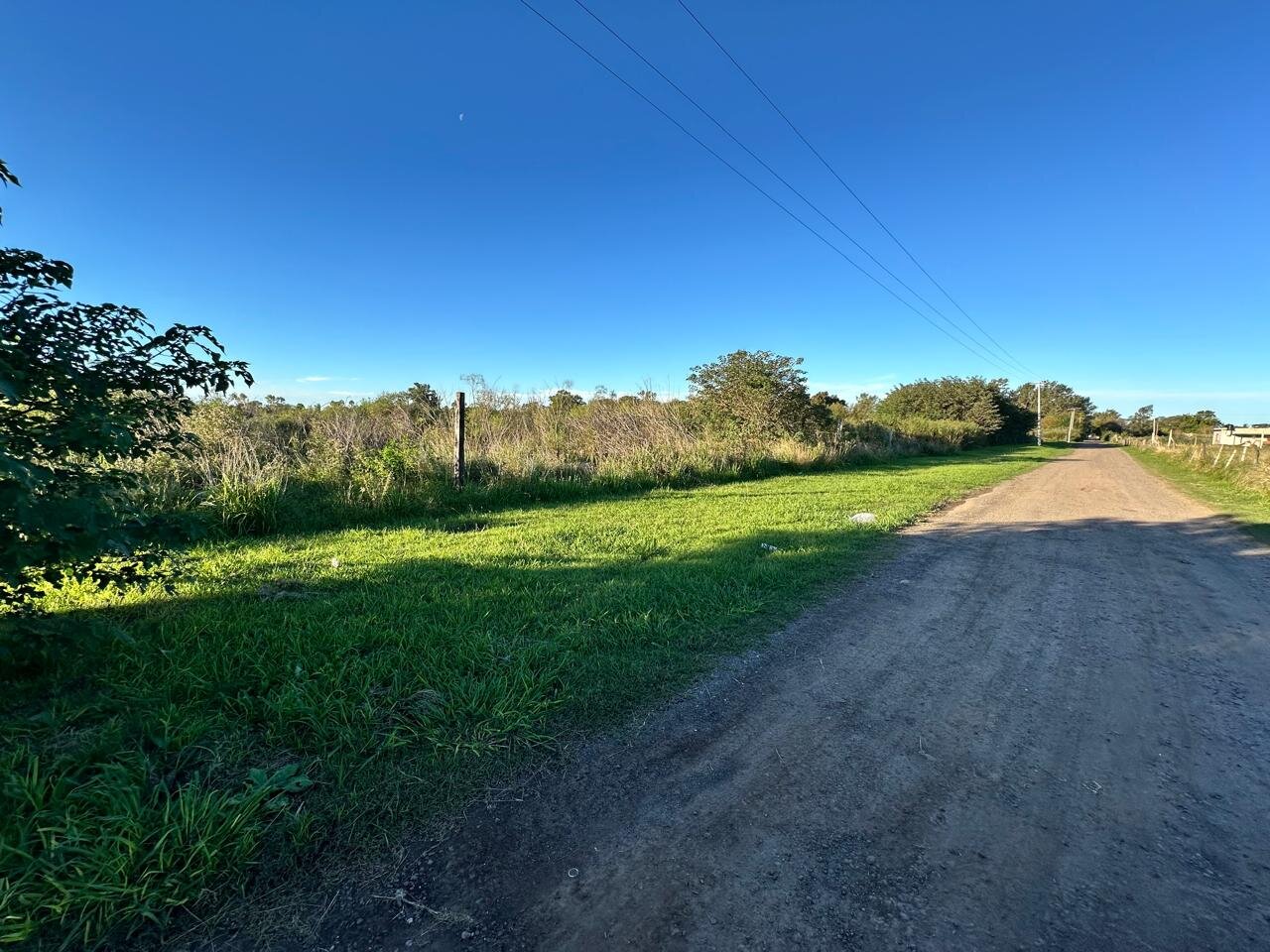 Venta de campo en Ibarlucea ideal para desarrollo inmobiliario - 5 hectáreas sobre calle Schilla (Garita 5) cercano a Funes - 9