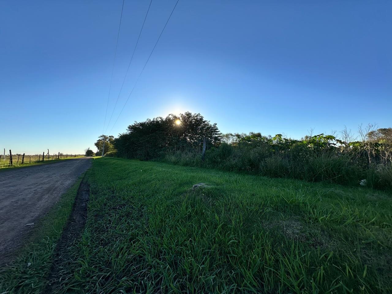 Venta de campo en Ibarlucea ideal para desarrollo inmobiliario - 5 hectáreas sobre calle Schilla (Garita 5) cercano a Funes - 12