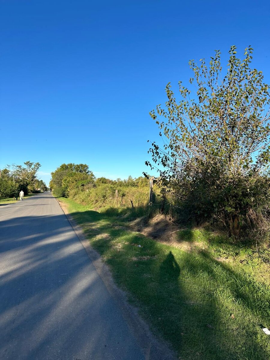 Venta de campo en Ibarlucea ideal para desarrollo inmobiliario - 5 hectáreas sobre calle Schilla (Garita 5) cercano a Funes - 5