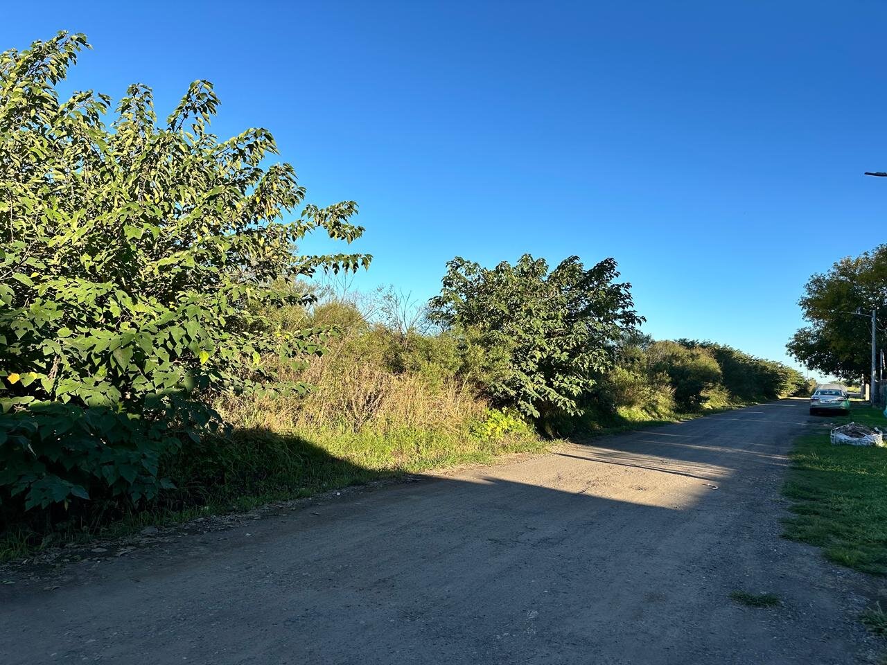 Venta de campo en Ibarlucea ideal para desarrollo inmobiliario - 5 hectáreas sobre calle Schilla (Garita 5) cercano a Funes - 10