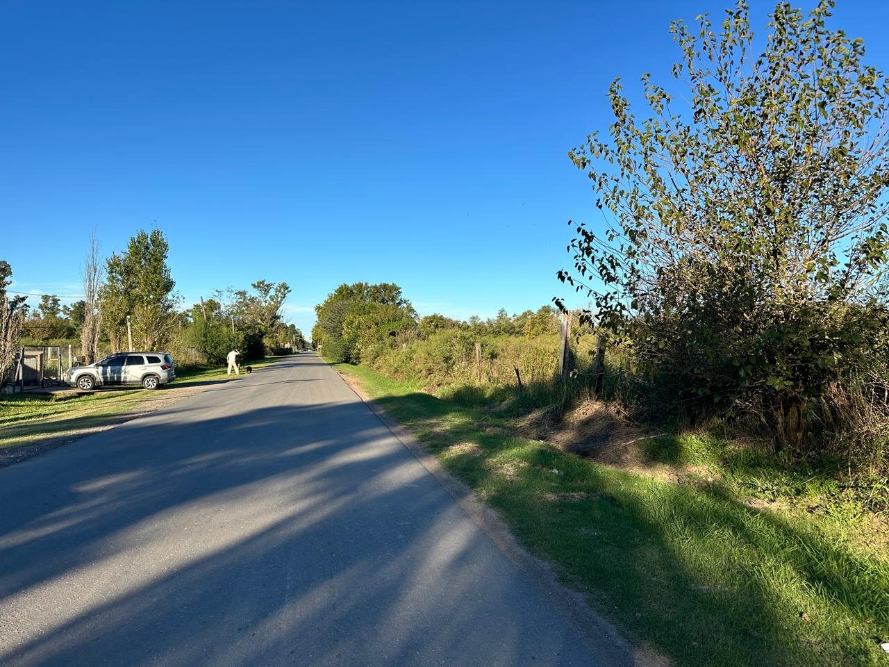 Venta de campo en Ibarlucea ideal para desarrollo inmobiliario - 5 hectáreas sobre calle Schilla (Garita 5) cercano a Funes - 11