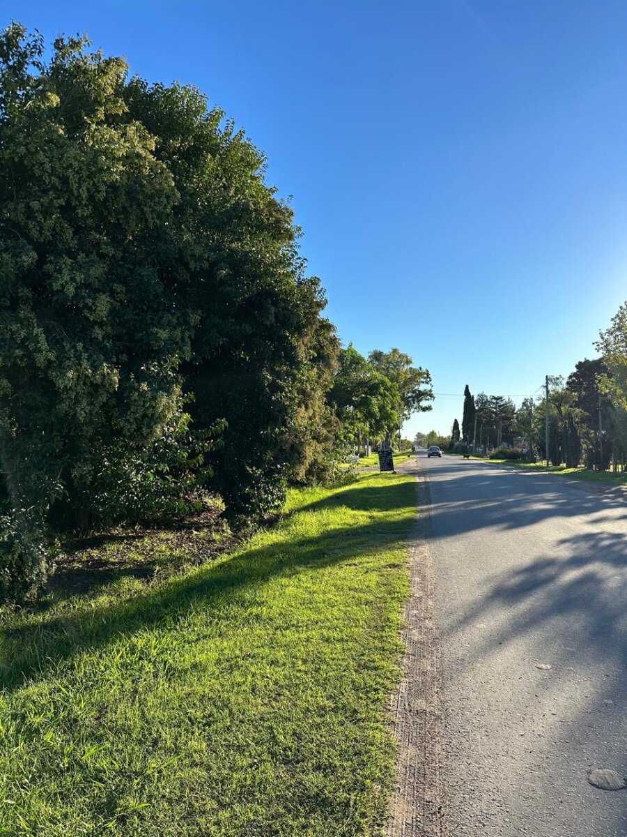 Venta de campo en Ibarlucea ideal para desarrollo inmobiliario - 5 hectáreas sobre calle Schilla (Garita 5) cercano a Funes - 1