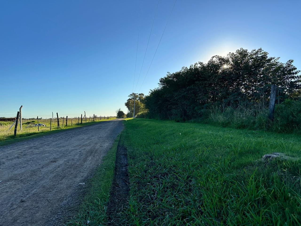 Venta de campo en Ibarlucea ideal para desarrollo inmobiliario - 5 hectáreas sobre calle Schilla (Garita 5) cercano a Funes - 13