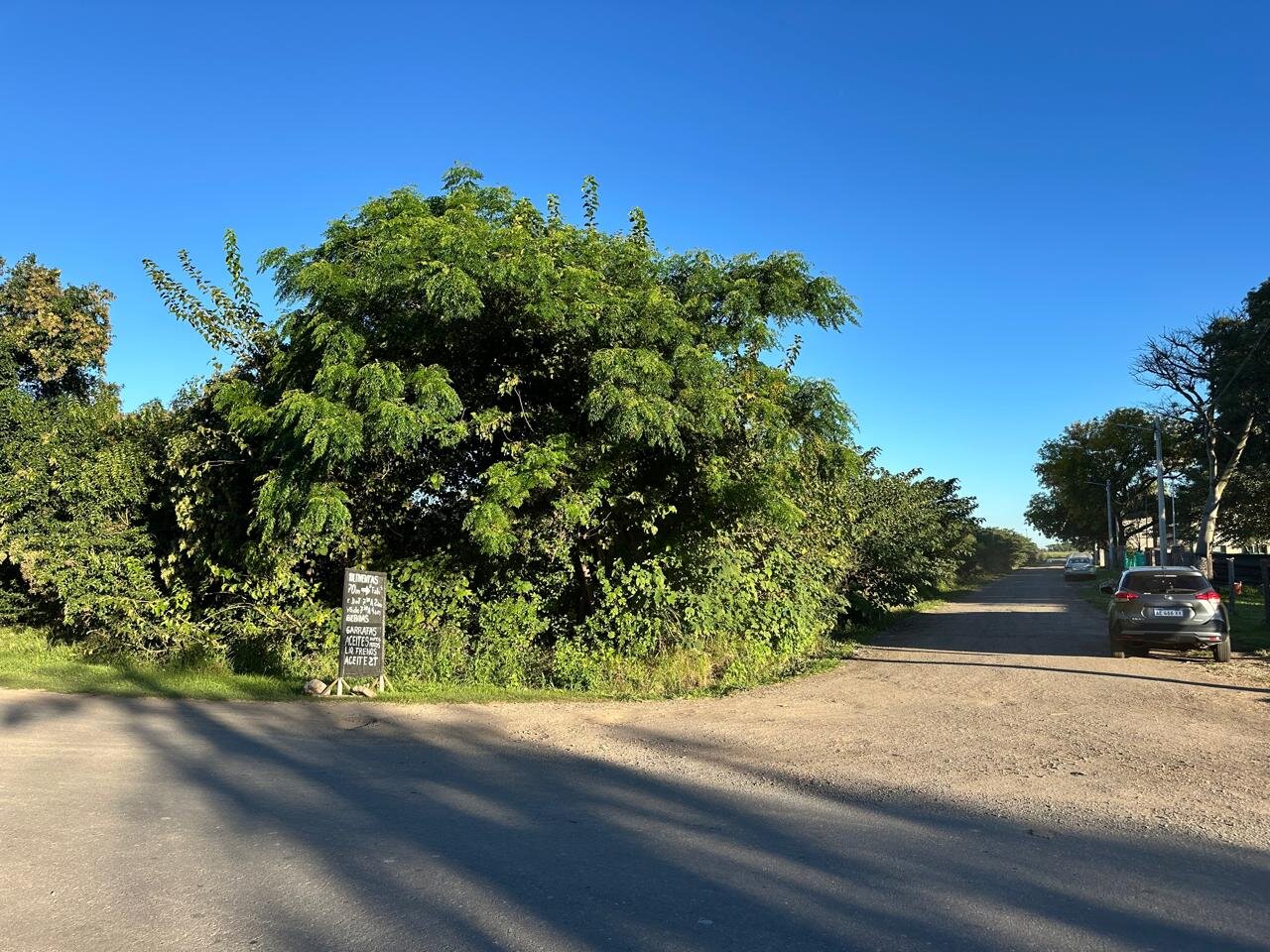 Venta de campo en Ibarlucea ideal para desarrollo inmobiliario - 5 hectáreas sobre calle Schilla (Garita 5) cercano a Funes - 7