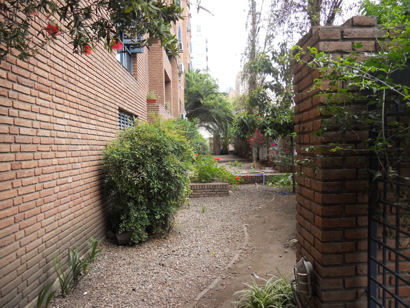 JARDIN INGRESO