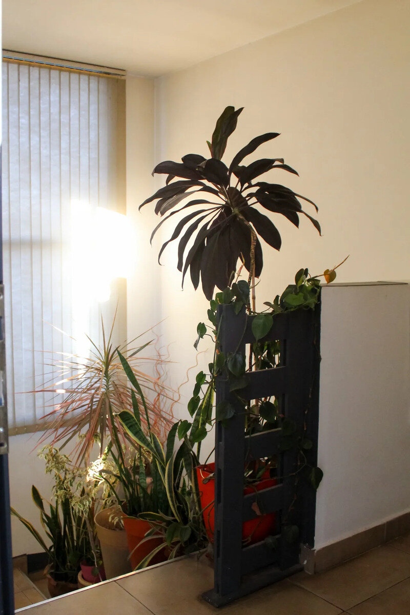 En Venta Casa En Tejas Del Sur Ii 3 Dormitorios - Imagen 13