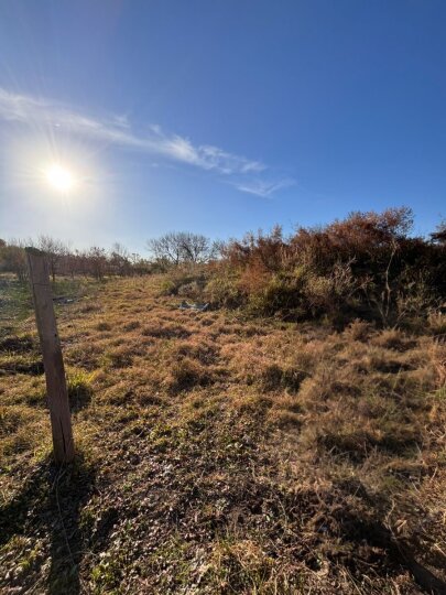 Terrenos - Iriondo - Venta