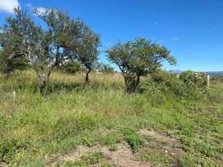 Terrenos - Otra Ciudad - Venta