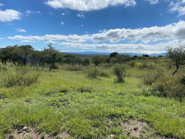 Terrenos - Otra Ciudad - Venta