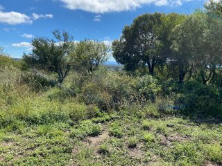 Terrenos - Otra Ciudad - Venta