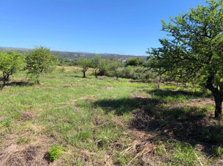 Terrenos - Otra Ciudad - Venta