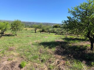 Terrenos - Otra Ciudad - Venta