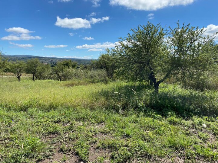 Terrenos - Otra Ciudad - Venta