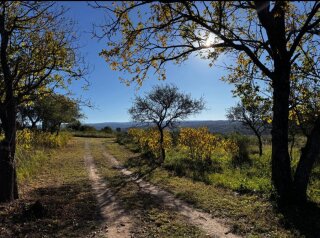 Terrenos - Otra Ciudad - Venta