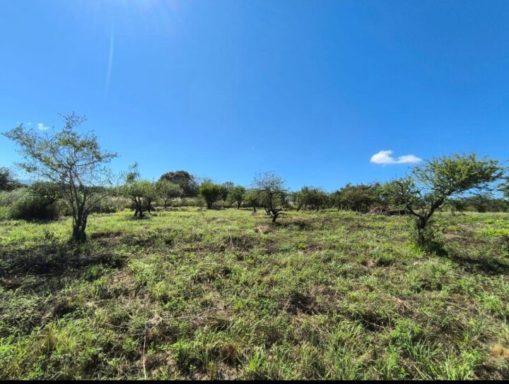Terrenos - Otra Ciudad - Venta