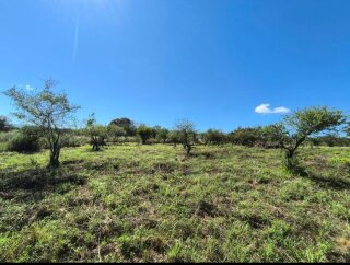 Terrenos - Otra Ciudad - Venta