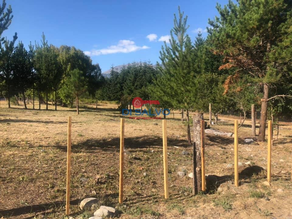 Lote 900 mts2 en Las Golondrinas Lago Puelo - 4