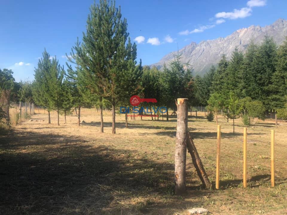 Lote 900 mts2 en Las Golondrinas Lago Puelo - 2