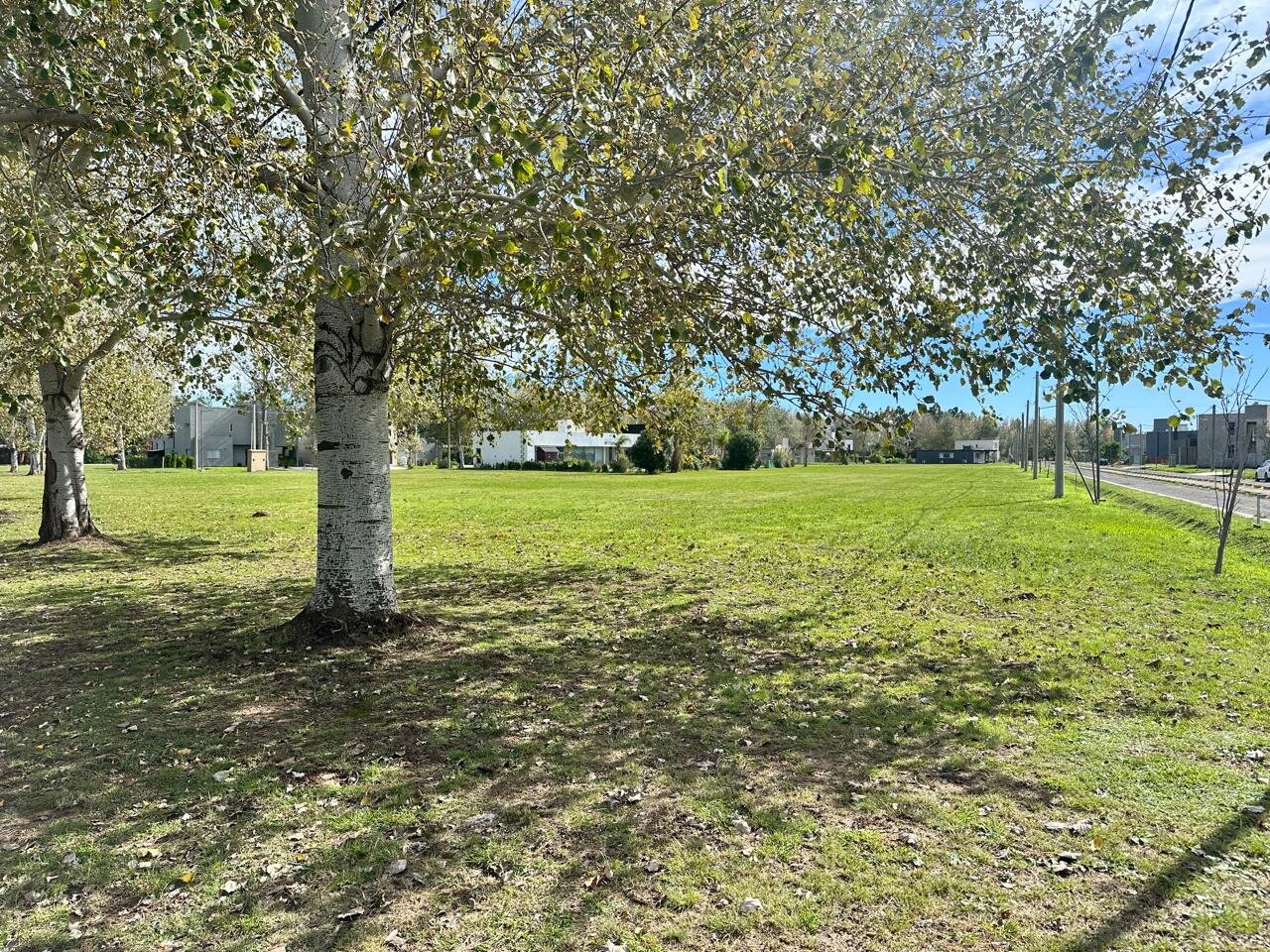 Venta terreno en Pinares del Sur - Piñero - Barrio cerrado - Lote 244 - 100% financiado - Forestación - 39