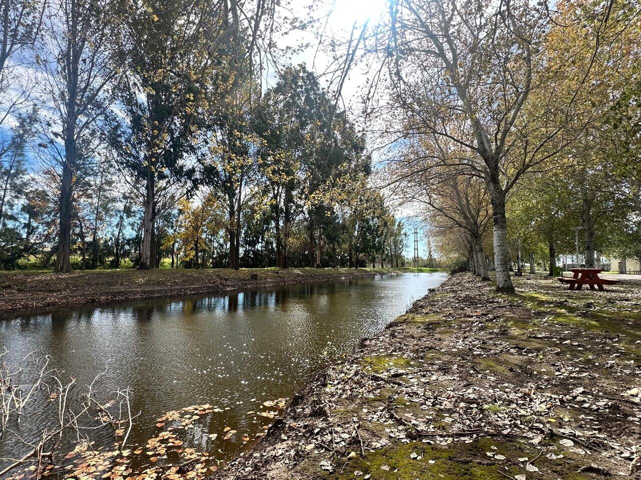Venta terreno en Pinares del Sur - Piñero - Barrio cerrado - Lote 244 - 100% financiado - Forestación - 46