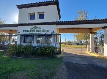 Venta terreno en Pinares del Sur - Piñero - Barrio cerrado - Lote 244 - 100% financiado - Forestación - 9