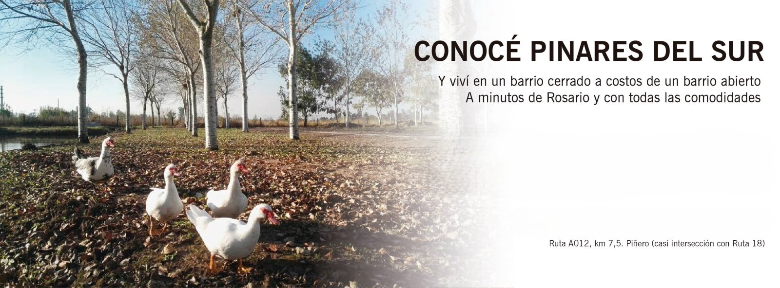 Venta terreno en Pinares del Sur - Piñero - Barrio cerrado - Lote 244 - 100% financiado - Forestación - 29