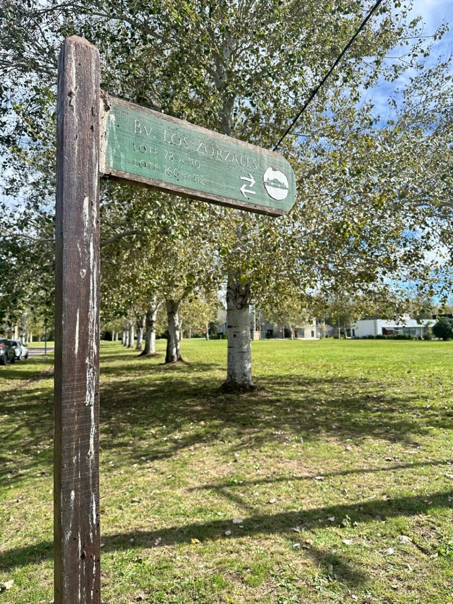 Venta terreno en Pinares del Sur - Piñero - Barrio cerrado - Lote 244 - 100% financiado - Forestación - 36