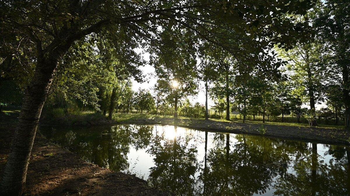 Venta terreno en Pinares del Sur - Piñero - Barrio cerrado - Lote 244 - 100% financiado - Forestación - 13
