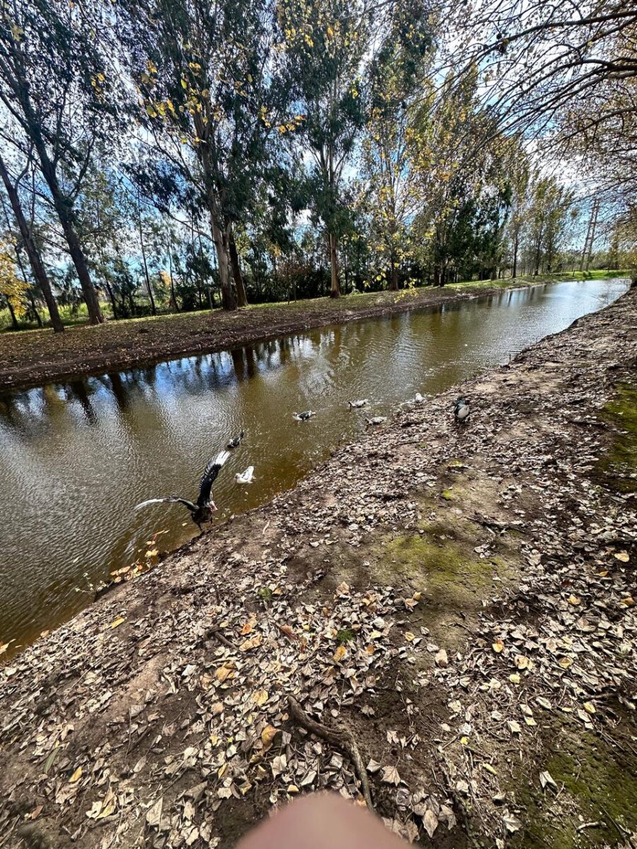 Venta terreno en Pinares del Sur - Piñero - Barrio cerrado - Lote 244 - 100% financiado - Forestación - 49