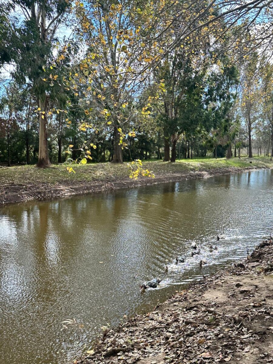 Venta terreno en Pinares del Sur - Piñero - Barrio cerrado - Lote 244 - 100% financiado - Forestación - 47