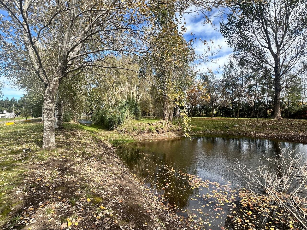 Venta terreno en Pinares del Sur - Piñero - Barrio cerrado - Lote 244 - 100% financiado - Forestación - 44