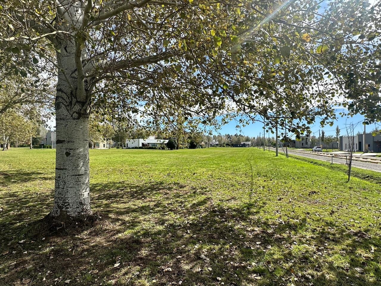 Venta terreno en Pinares del Sur - Piñero - Barrio cerrado - Lote 244 - 100% financiado - Forestación - 2
