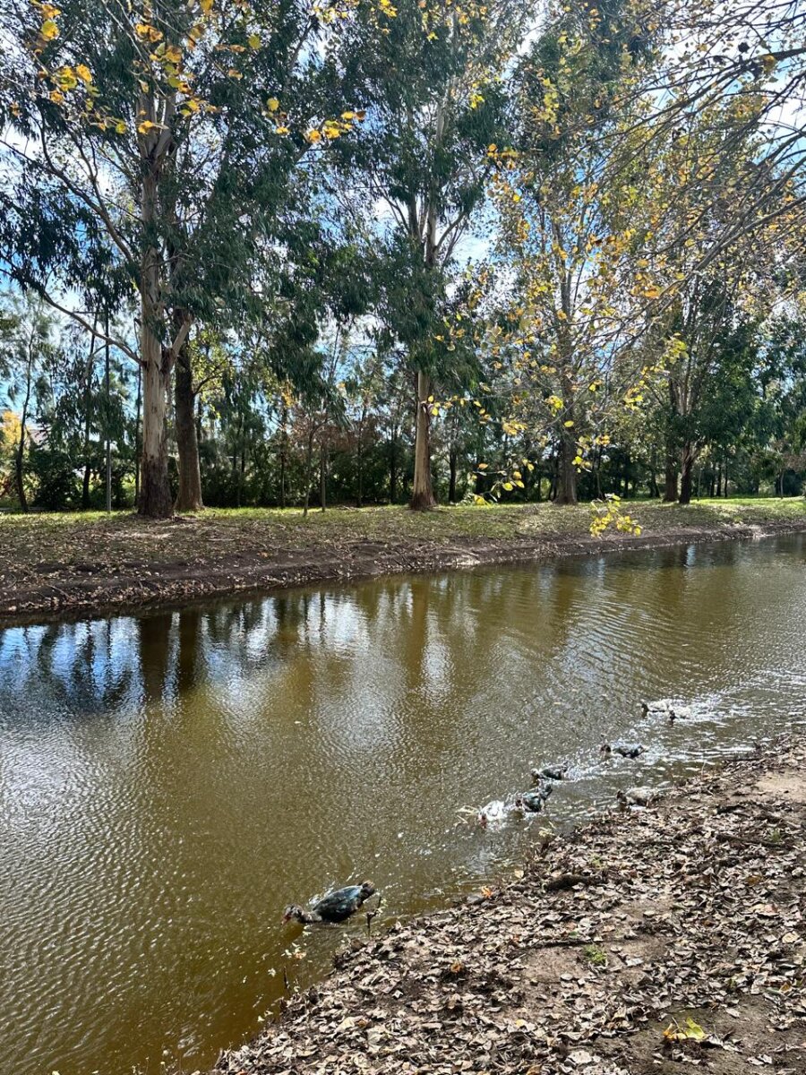 Venta terreno en Pinares del Sur - Piñero - Barrio cerrado - Lote 244 - 100% financiado - Forestación - 48