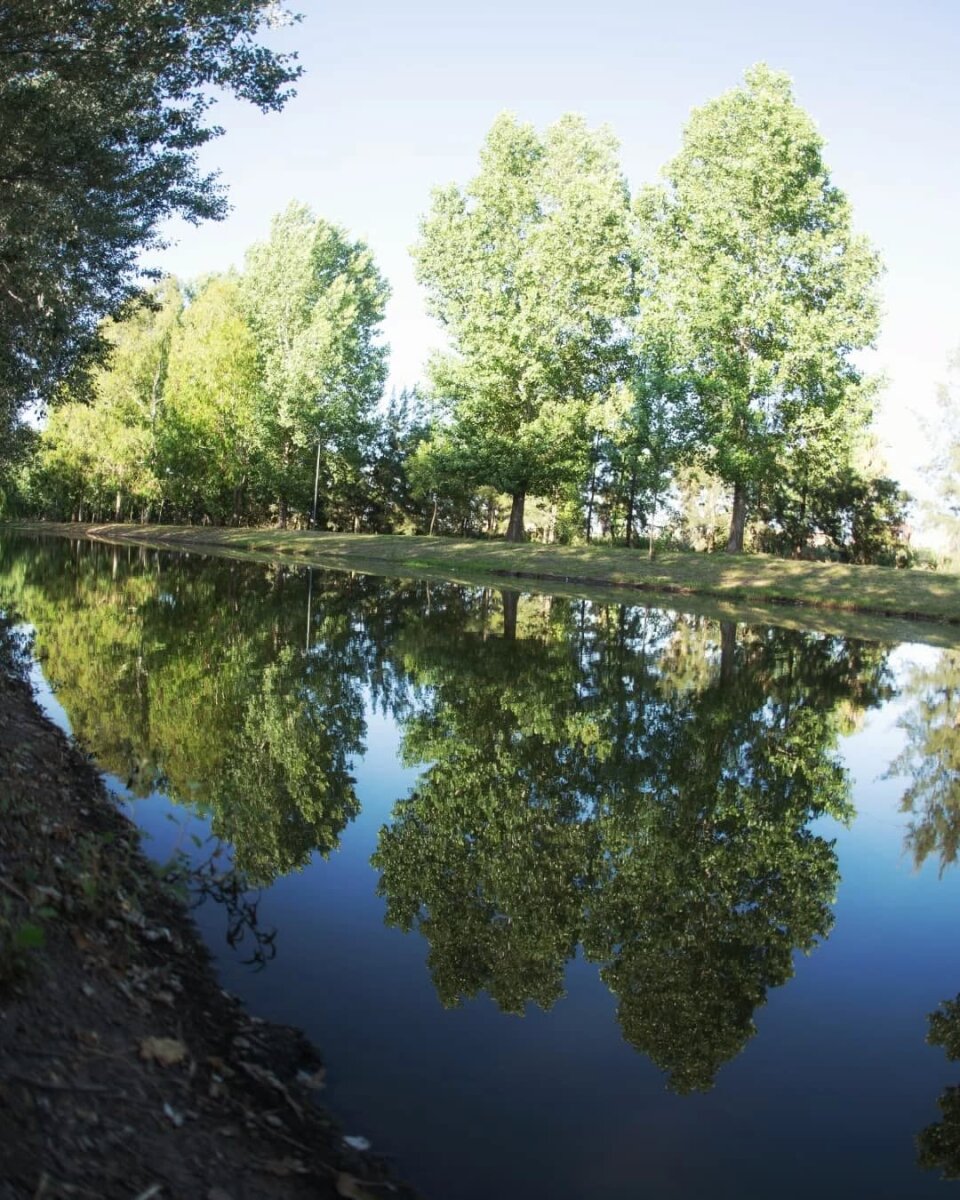 Venta terreno en Pinares del Sur - Piñero - Barrio cerrado - Lote 244 - 100% financiado - Forestación - 14