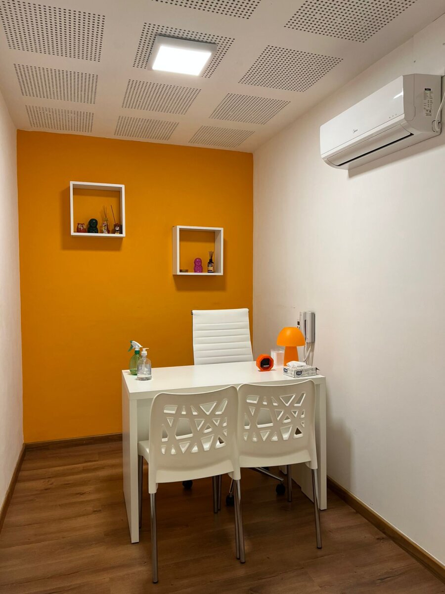 CONSULTORIOS OFICINAS AV. FRANCIA Y PELLEGRINI - 10