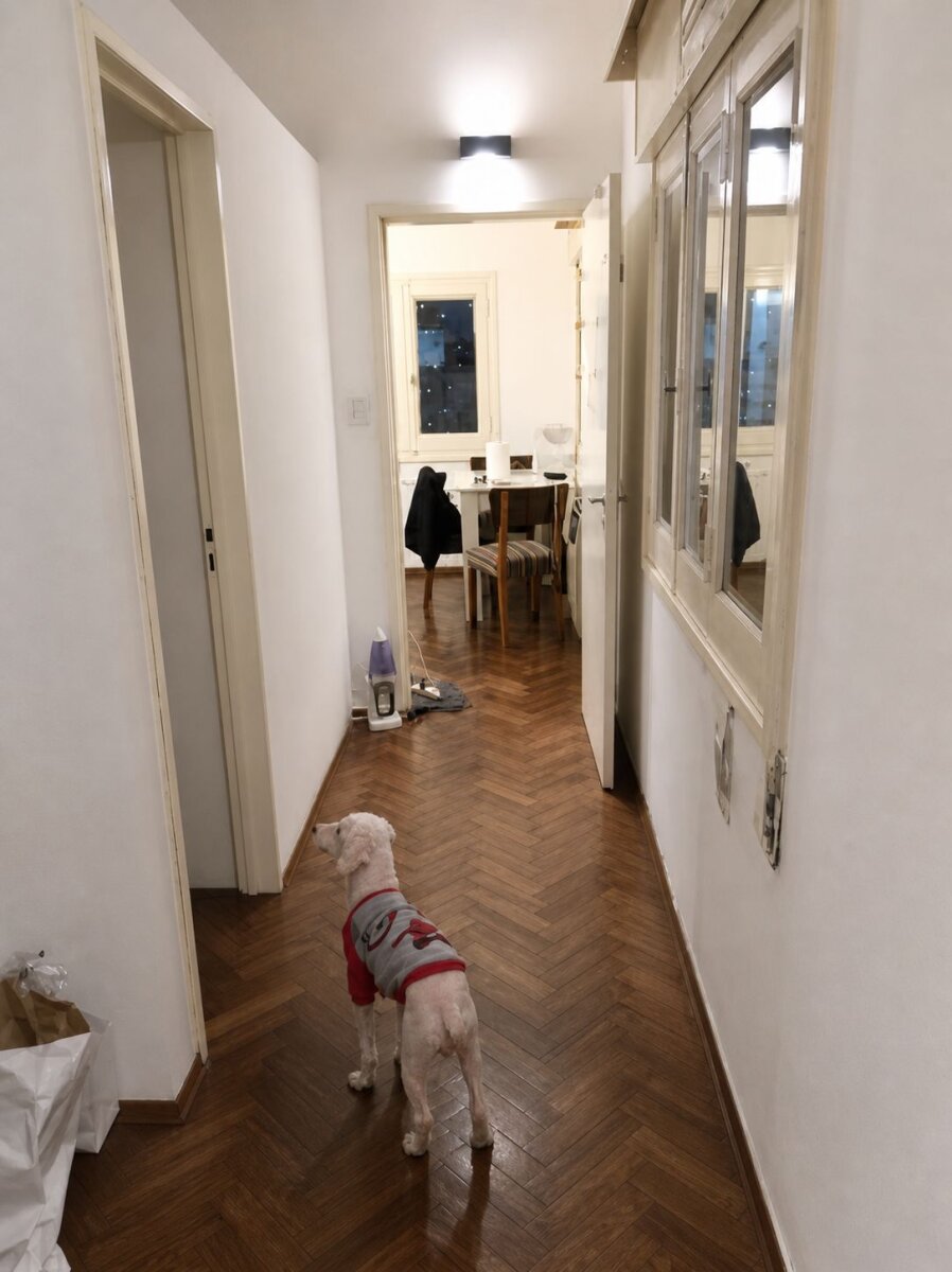 VENTA DEPARTAMENTO + LOCAL - 2