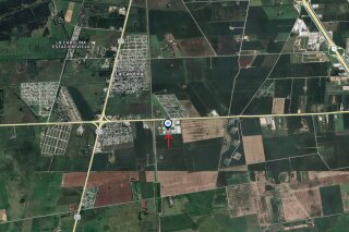 Galpones / Dep�sitos - Alvear -  Alquiler