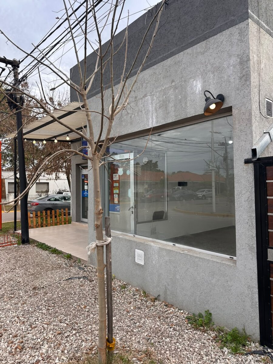 ALQUILER LOCAL COMERCIAL IBARLUCEA - 17